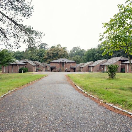 فندق بيركهامستيدفي  Ashridge House المظهر الخارجي الصورة